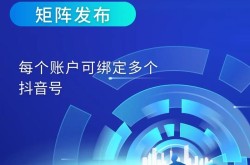 SEO短视频网页入口排名提升，有没有快速通道？