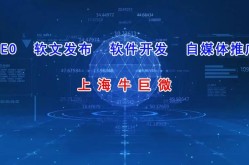 牛巨微网络科技SEO公司提供哪些服务？效果怎样？