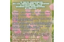 公司宣传广告片拍摄哪家强？报价及服务流程详解