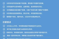 SEO网站优化主管招聘要求有哪些？如何提升团队效率？