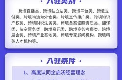 开设电商平台需要哪些资质？详解攻略