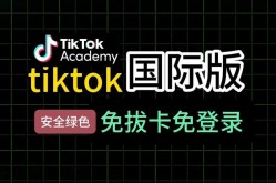 抖音国际版TikTok色板推荐，短视频制作必备