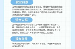 电子网络营销师如何提升业绩？必备技能有哪些？