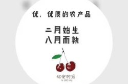 一件代发的水果货源APP哪个好？如何挑选供应商？