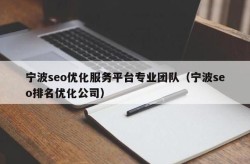 宁波SEO推广推荐公司怎么选？哪家成功案例多？