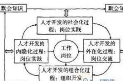 夜狼seo团队的优化策略是怎样的？