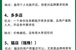 电商推广平台如何选择最佳？哪种更适合新手？