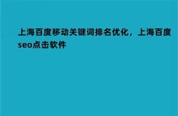 捧去上海百首网络的SEO排名工具效果如何？真的能提升排名吗？