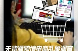 无货源跨境电商骗局揭秘，如何避免陷阱？