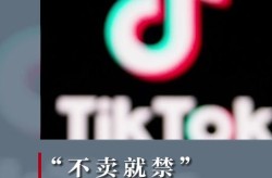 TikTok近期热点追踪，哪些内容最火？