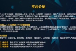 SEO推广个人可以做什么？有哪些创业机会？