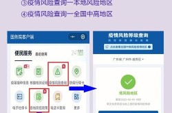 全国疫情最新公布，如何获取实时信息？