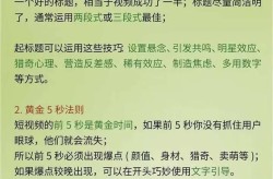 短视频代运营策划方案怎么做？如何提高运营效果？