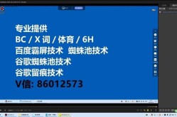 网站收录查询哪个平台最准确高效？