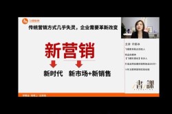 SEO推广网站全网营销：如何提升搜索排名？