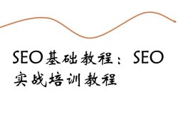 SEO新手入门教程推荐哪个？哪些方法培训最有效？