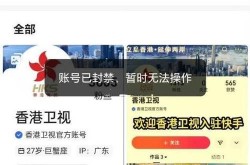 国内封禁原因揭秘：为何采取措施限制访问？