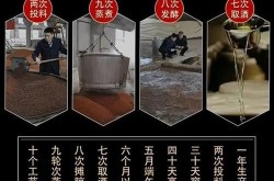 酱酒推广营销策划方案怎么做？有哪些成功案例？