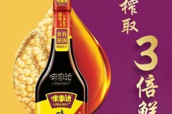 酱油品牌推荐哪个口感好？哪些品牌历史悠久？