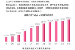 互联网电商行业未来趋势分析，如何抓住机遇？