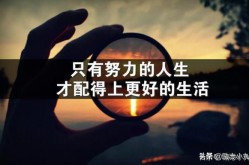 如何挑选情感视频正能量素材？有哪些标准？