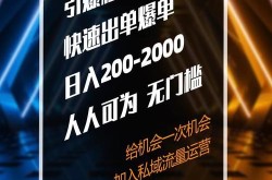 竞价网赚是否可靠？揭秘网赚背后的风险与机遇！