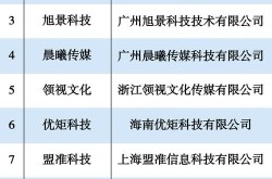 中国5大电商平台排名：谁在领跑行业？