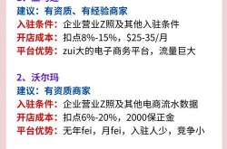 加入电商平台成本解析：究竟需要多少钱？