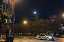 夜晚街道伤感视频素材怎么挑选？这里有技巧