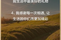 如何让感激留在心中？情感启示录