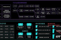 国内用TikTok解决方案有哪些？如何优化运营效果？