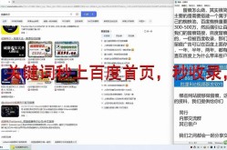 SEO教程网，哪个最权威？