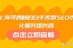 SEO服务商技术好的公司有哪些？如何鉴别？