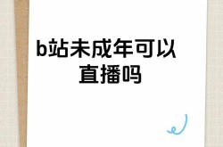 B站未成年孤儿真的多吗？平台管理与应对措施解析