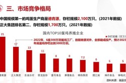 2023年电商市场数据报告揭示哪些趋势？如何把握机遇？