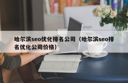 哈尔滨排名SEO公司如何选择？