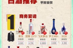 白酒推广策略方案有哪些创意点？效果如何评估？