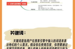 SEO基础入门教程哪里有？如何学习？