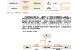 保险线上营销方案设计：如何吸引潜在客户？