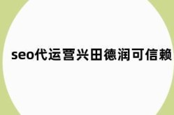 兴田德润在SEO推广公司中表现如何？有何优势？