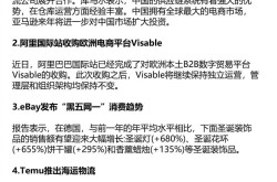 做亚马逊跨境电商平台，有哪些注意事项？