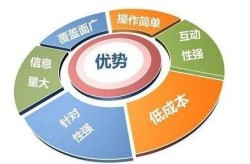 SEO教程与SEO优化有何区别？哪个更适合初学者？