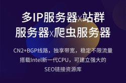 SEO服务器多IP如何配置？有哪些注意事项？