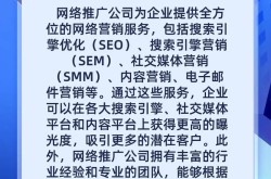 宁波SEO推广公司排名情况？哪家服务更专业？