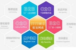 最早的网上B2C公司是什么？有哪些创新点？