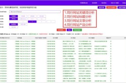 网站排名大师有哪些功能？如何使用？