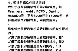 剪辑课程哪里培训效果最佳？实测报告