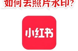 小红书14版本哪里下载？与其他版本有何不同？