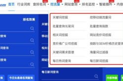 官方SEO查询工具，哪家服务更全面？