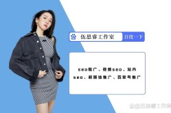 SEO * 丝，哪个更值得关注？